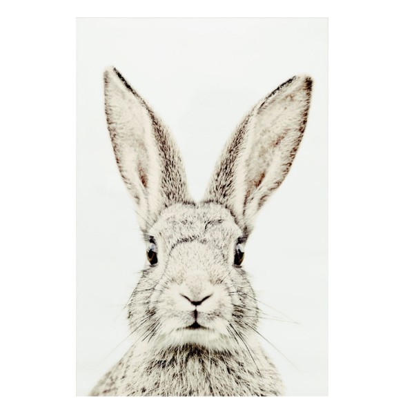 magneetposter konijn zonder frame
