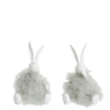 konijnen zittend assortiment wit munt