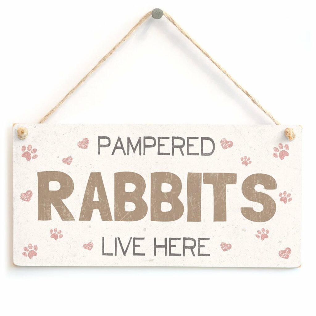 pampered rabbits live here
