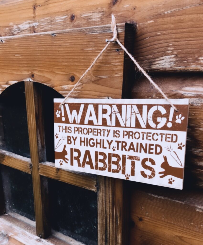 trained rabbits
