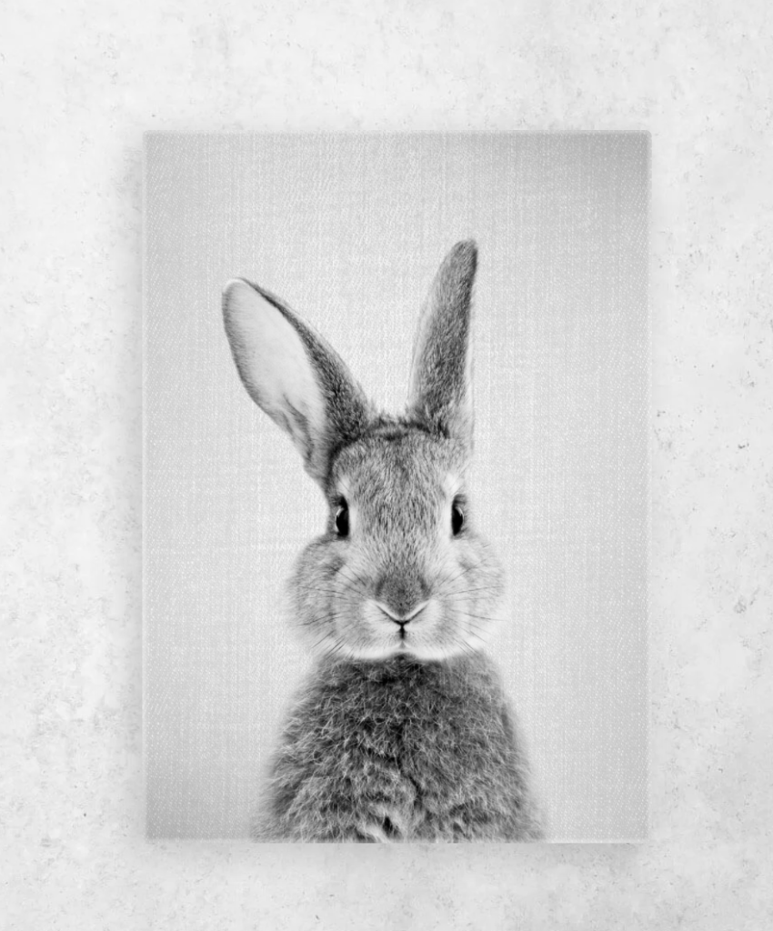 metalen poster konijn zwart wit